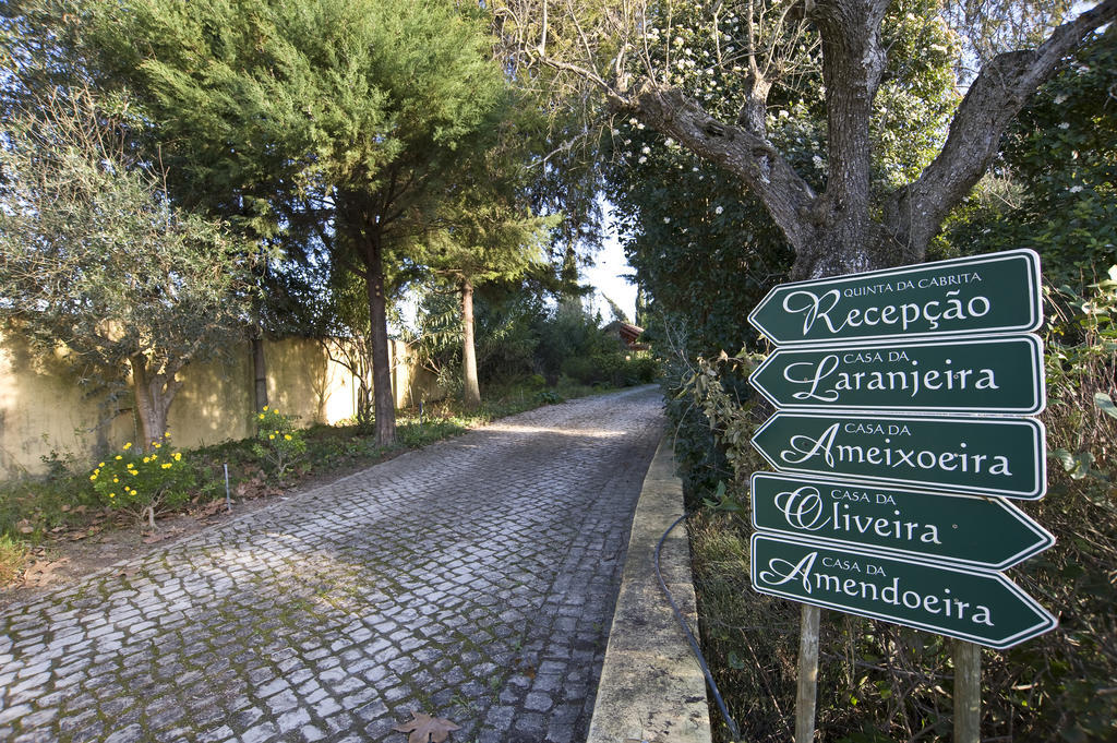 Quinta Da Cabrita Villa Santarém Dış mekan fotoğraf