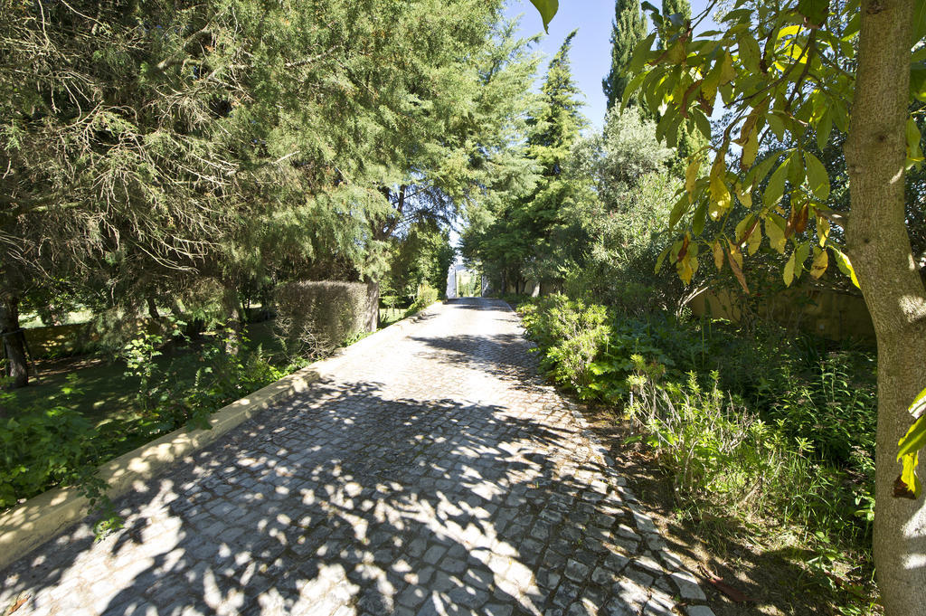 Quinta Da Cabrita Villa Santarém Dış mekan fotoğraf