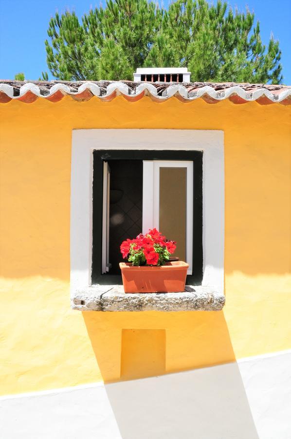 Quinta Da Cabrita Villa Santarém Dış mekan fotoğraf